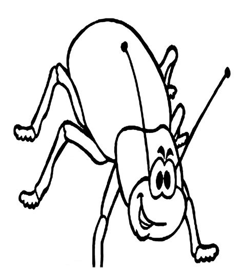 bug coloring pages  kids photo animal place