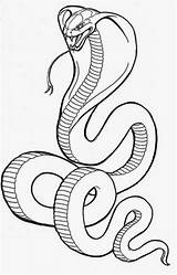 Cobra Snake Coloring Pages King Drawing Printable Tattoo Drawings Tut Kids Head Rattlesnake Striking Snakes Colouring Clipart Angry Sheets Easy sketch template