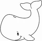 Clipart Whale Outline Clip Cliparts Blue Carson Ces Index Humpback Whales Baby Panda Kids Drawing Drawings Clipartix Library Beluga Cake sketch template