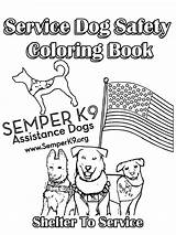 K9 Semper Veterans Crucial sketch template