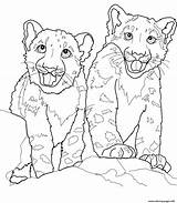 Leopard Snow Coloring Pages Babies Printable sketch template