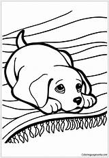 Coloring Pages Husky Puppy Color Malamute Printable Alaskan Print Puppies Getcolorings Getdrawings sketch template