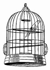 Cage Gabbia Kleurplaat Uccellino Kooi Jaulas Birdcage Jaula Oiseau Oiseaux Kleurplaten Perico Schoolplaten Educol sketch template