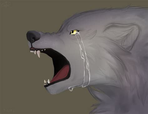 sad wolf  akinal  deviantart