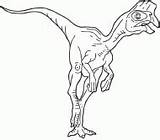 Coloring Oviraptor Dinosaur Drawings sketch template