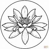 Lily Coloring Pages sketch template