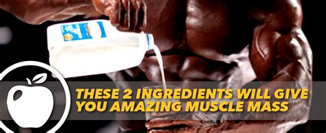 ingredients  give  amazing muscle mass generation iron