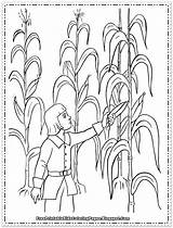 Corn Coloring Printable Pages Kids Field Sheet Sheets Colouring Harvest Preschool Lovely Indian Children Harvesting Cob Cartoon Candy Overflows Cup sketch template