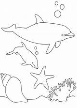 Delfini Lumba Delfine Ikan Golfinhos Kertas Mewarna Página Pianetabambini Halaman Kidipage Druckbare Haiwan sketch template