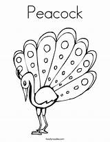Peacock Coloring Outline Drawing Pages Penguin Noodle Painting Template Getdrawings Glass Twistynoodle Built California Usa Twisty sketch template