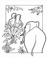 Adam Eve Eden Garden Coloring Pages Color Printable Drawing Story Paradise Kids Bible Elephant Getcolorings Getdrawings Online sketch template