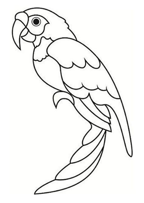 coloring pages  printable parrot coloring pages