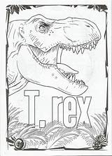 Jurassic Colorear Park Libro Para Coloring Actividades Bendon Saga Cinematic Universe sketch template
