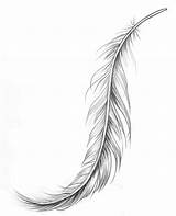 Feather Tattoo Drawing Tattoos Outline Sketch Eagle Feathers Designs Printable Ink Pen Meaning Peacock Feder Ear Drawings Stencil Moon Simple sketch template