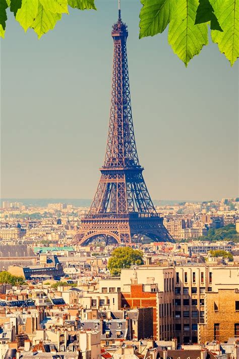 eiffelturm stadt gruene blaetter paris frankreich  uhd