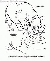 Rinoceronte Printables Rhinoceros Olympics Miracle Coloringhome Honkingdonkey sketch template