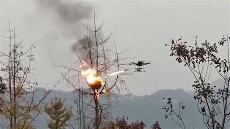 drone equipped  flamethrower incinerates wasps nest  china