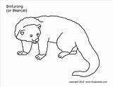 Binturong Bearcat Firstpalette Mammals sketch template
