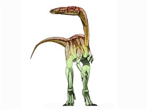 Segisaurus Jurassic Park Wiki Fandom
