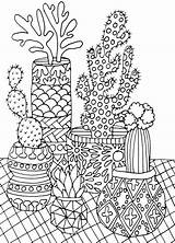 Coloring Pages Succulent Cactus Succulents Adult Book Books Color Cleverpedia Portable Printable Stress Amazon Smile sketch template