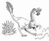 Oviraptor sketch template