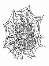Spider Spiders Mycoloring Bug Zentangle sketch template