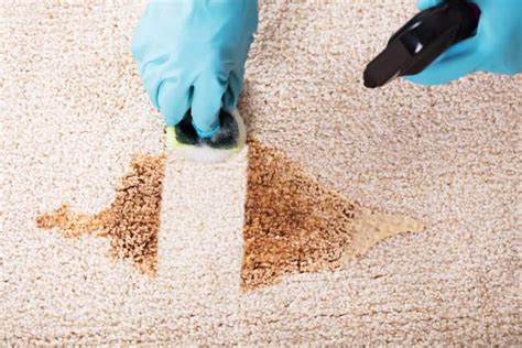mark  clean carpet upholstery cleaning