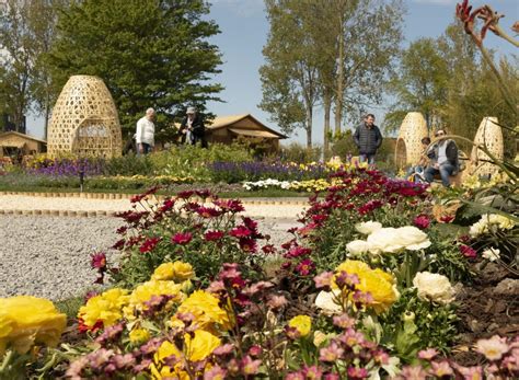 Floriade Expo 2022 Get Inspiration For The Green City Of The Future