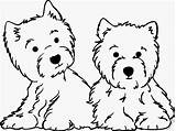 Westie Coloring Pages Terrier Highland West Drawing Template Drawings Line Printable Getcolorings Logo Westies Color April Same Sketch sketch template