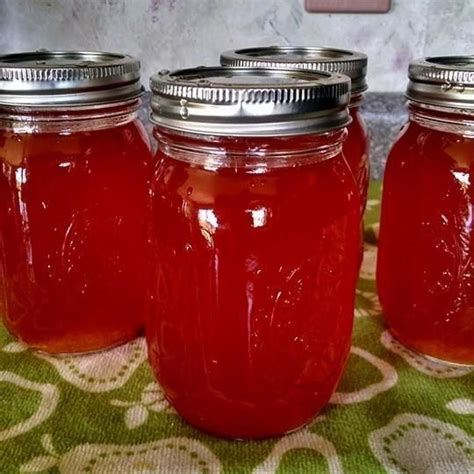 tomato jelly   pinch recipes