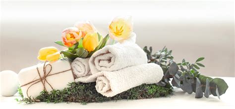 spring spa composition   light background stock photo image