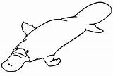 Platypus Billed sketch template