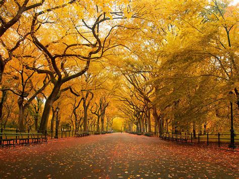 best things to do in the fall in nyc including seasonal events