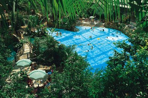 center parcs longleat child dies   unwell   tropical indoor pool chronicle