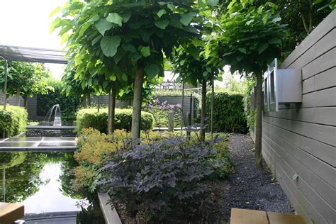 rechte lijnen boompjes op stam patio tuin tuin patio