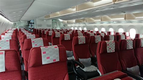japan airlines economy class   seat   middle