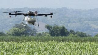 crop spraying drones    tractors  bbc news