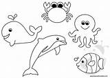 Animali Mare Colorare Pesci Marini Sagome Disegnare Ritagliare Lavoretti Lavoretticreativi Pesce Deniz Boyama Immagini Okul Artigianato Segno Oncesi Estivo Inseriamo sketch template