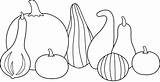 Pumpkin Coloring Gourds Lineart Gourd Pumpkins Webstockreview sketch template