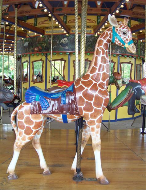 national carousel association brookfield zoo carousel carousel
