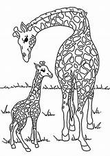 Tiere Ausmalbilder Malvorlagen Ausmalen Afrika Zoo Giraffe Kinder Drucken Kostenlose Malvorlage Jirafas Dschungel Giraffen Elefant Zootiere Afrikanische Frei Katzen Kindern sketch template