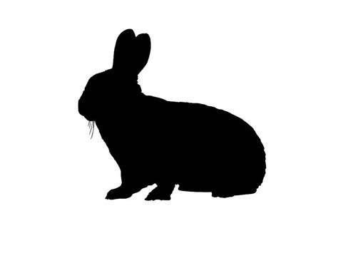 vintage clip art bunny silhouette easter   nice