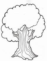 Arbol Arboles Tronco árbol Porque sketch template