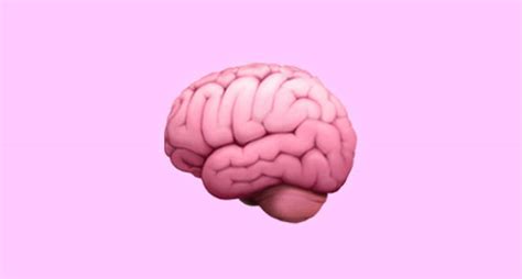 what does 🧠 mean on tiktok the sexual meaning behind the emoji
