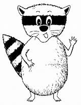 Laveur Raton Coloriage Animaux Raccoon Coloriages sketch template
