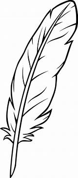 Feather Plume Quill Plumas Feder Pluma Federn Zum Plantilla Tatouage Zeichnen Plumes Paintingvalley Ink Oiseau Coloori Dessiner Pintadas Indien Kaynak sketch template