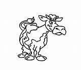 Vaca Desenho Vacas sketch template