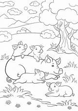 Pig Lays Piglets sketch template
