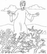 Parable Sower Thorns Parables Sembrador Semeador Choked Sementes Espinhos Sementinhas Biblekids Biblia sketch template
