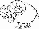 Mewarnai Domba Paud Berikut Merupakan Yaitu Empat Hewan Berkaki sketch template